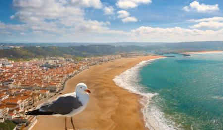 tours-trips-nazare-portugal